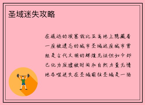 圣域迷失攻略